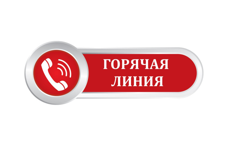 Горячая линия по вопросам применения приказов Минпросвещения России.